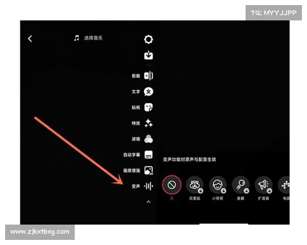 MorphVox Pro十大功能,让你实现声音变声的无限可能 MorphVox Pro十大功能,让你实现声音变声的无限可能